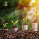 Como Investir Pela Primeira Vez Guia Completo para Iniciantes Começarem com Segurança