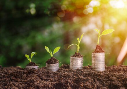 Como Investir Pela Primeira Vez Guia Completo para Iniciantes Começarem com Segurança