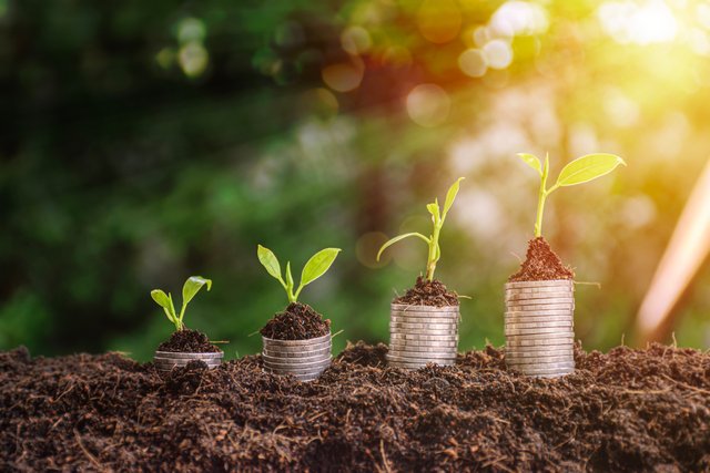 Como Investir Pela Primeira Vez Guia Completo para Iniciantes Começarem com Segurança